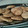 El cooksnap de Maria Martin Torres cuando hizo Galletas veganas de limón y chía🍪🍋.