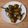 Cooksnap dari Christine untuk resep Ayam goreng pandan