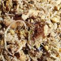 Cooksnap από dcroula στη συνταγή Τηγανητό ρύζι με λαχανικά