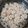 Cooksnap dari Devanlicious_ untuk resep Dimsum ayam