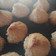 El cooksnap de Nan I cuando hizo Coquitos 🥥.