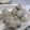 El cooksnap de Sharky cuando hizo Dumpling de pollo.