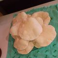 El cooksnap de melina budeguer cuando hizo Pan árabe.
