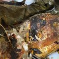 Cooksnap dari Buku harian Dewinta untuk resep Pepes Ikan Nila Daun Kemangi