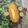 Cooksnap của Chrys Dang khi họ làm theo món Bánh bông lan bơ (butter cake)