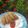 Cooksnap dari Lyss.kitchen untuk resep Sempol Ayam