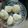 Cooksnap dari Chintya Widyawati untuk resep Cireng crispy simple