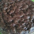 Cooksnap dari Liza untuk resep Bolu pisang kukus sederhana