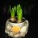 صورة من Chef hamdy morsy، شاركها بعد تجربة وصفة الهليون مع هريس البطاطا asparagus with Potatoes puree