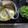El cooksnap de Marieta cuando hizo Crema de vainas de guisantes.