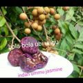 Cooksnap dari Indah Hasriati untuk resep Bola-Bola Ubi Ungu