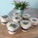 Cooksnap dari Nur YaNie untuk resep Cheesecake Lumer