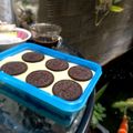 Cooksnap dari Vie Gusnardi untuk resep Matcha Dessert Box