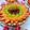 Cooksnap dari Lennie Huang untuk resep Pie Buah