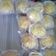 Cooksnap dari anita widya habsari untuk resep Kue sus