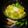 Sanjhbati Sen.'s cooksnap of when they made আলু ঝিঙে পোস্ত (aloo jhinge posto recepi In Bengali).