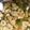 Sadaf Shoaib Vohra's cooksnap of when they made Dry fruit chat.