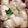 Sophie V.'s cooksnap of when they made Poulet Margherita.