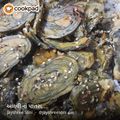 Jayshree Soni's cooksnap of when they made અળવી ના પાત્રા (Arvi Patra Recipe In Gujarati).