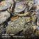 Jayshree Soni's cooksnap of when they made અળવી ના પાત્રા (Arvi Patra Recipe In Gujarati).