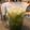 El cooksnap de BarrazaM1 cuando hizo Agua de nopal.