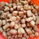 Amma's Confectionery's cooksnap of when they made Classy Cincin.