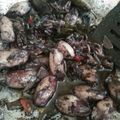 Cooksnap dari Pidippo untuk resep Tumis Cumi Hitam