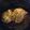 Holly Gordner Blackwell's cooksnap of when they made crock pot parmesan pork roast.
