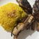 Cooksnap dari Zhaboz untuk resep Nasi Briyani Simple (HAMPERS Lebaran)