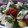 El cooksnap de mranz cuando hizo Ensalada caprese de tomate y mozzarella fresca.