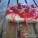 Cooksnap από karavour στη συνταγή Πεντανόστιμο Cheesecake