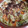 El cooksnap de Beatriz cuando hizo Brócoli con Nata y gratinado con queso.