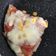 Cooksnap dari liriti untuk resep Tuna Pizza Teflon