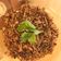 Cooksnap dari Kiky untuk resep Pampis Tongkol