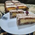 کوک اسنپ Giti بعد از امتحان کردن کیک لمینگتون (کیک وانیلی با روکش کاکائو).