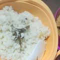 Cooksnap dari Serli boru ginting untuk resep Nasi Uduk Magic Com