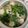 QBee Sindy Chien 的 鹹湯圓 cooksnap