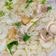 Cooksnap của Rose Truong khi họ làm theo món Nui sao cải dún thịt gà cho bé