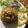 Cooksnap dari Zhaboz untuk resep Salmon Fried Rice
