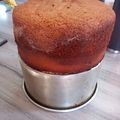 El cooksnap de Sueños de chocolate by noe li cuando hizo Bizcochuelo básico para torta con trocitos de chocolate.