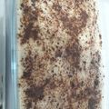 El cooksnap de carol sandoval cuando hizo Postre de milo para celíacos.