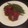 Rick M's cooksnap of when they made Chicken Cacciatore.