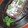 El cooksnap de Gabriela Bilo cuando hizo Budín chocolatoso de maicena y nueces (apto celíacos).