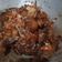 Cooksnap dari Detty Tj untuk resep Ayam Kecombrang