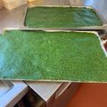 ChefGoulding@EdmundsWSC's cooksnap of when they made Spinach roulade recipe.