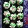 Cooksnap dari Yeyen untuk resep Bolu Kukus Ekonomis