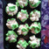Cooksnap dari Yeyen untuk resep Bolu Kukus Ekonomis