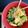 El cooksnap de Bibi García cuando hizo Arroz con brócoli y salsa de soja.