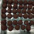 Cooksnap dari Mustika Troy untuk resep KUKER Rambutan Coklat