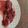 El cooksnap de syselly cuando hizo Magret de pato con frutos del bosque.